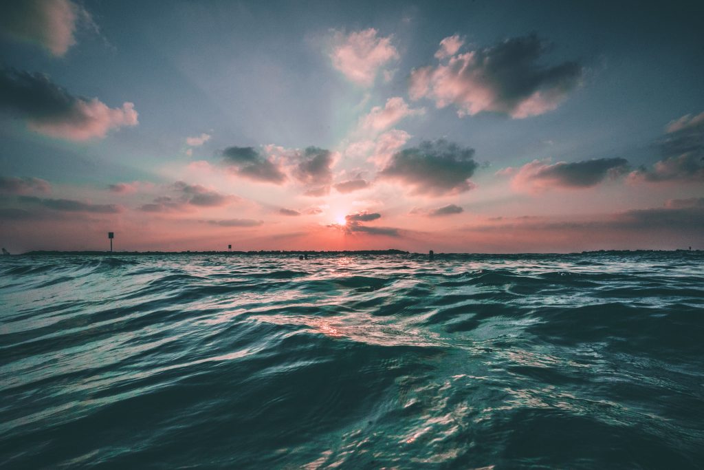 ocean swim