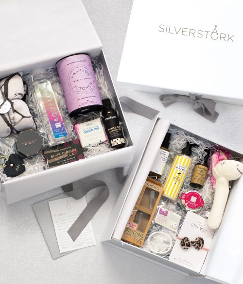 Silver Stork