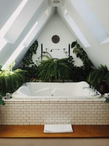 Beautiful bath surrounded by indoor plants