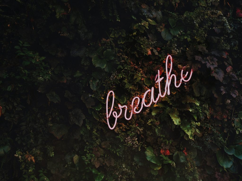 Neon breathe sign on green wall