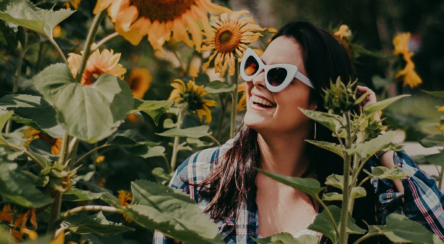 Woman standing amongst sunflowers