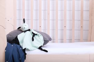 ergoPouch Joey GPS trackable Comforter