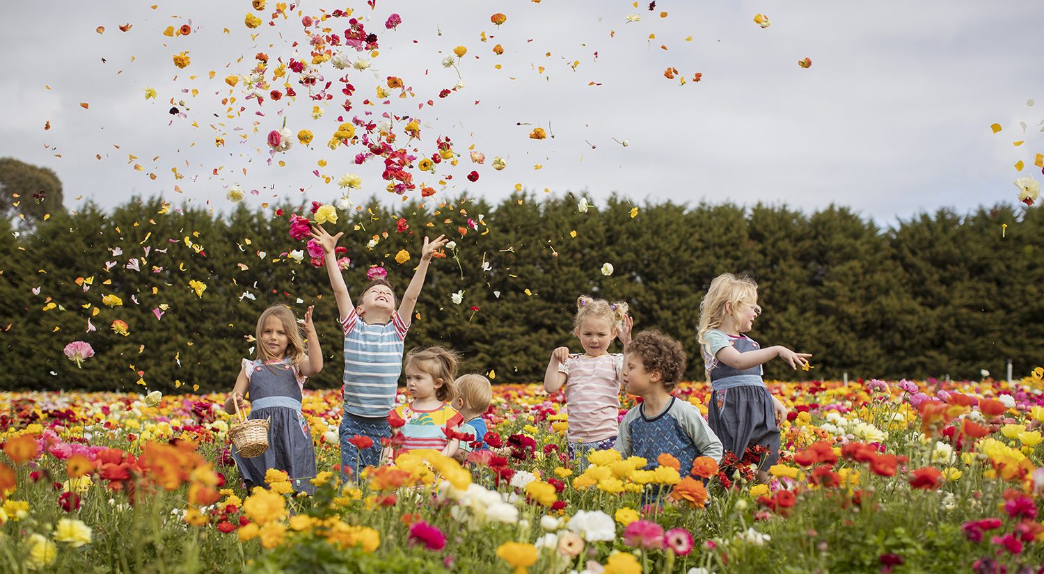 Oishi-m Sea of Colour collection