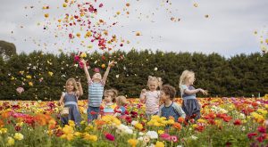 Oishi-m Sea of Colour collection