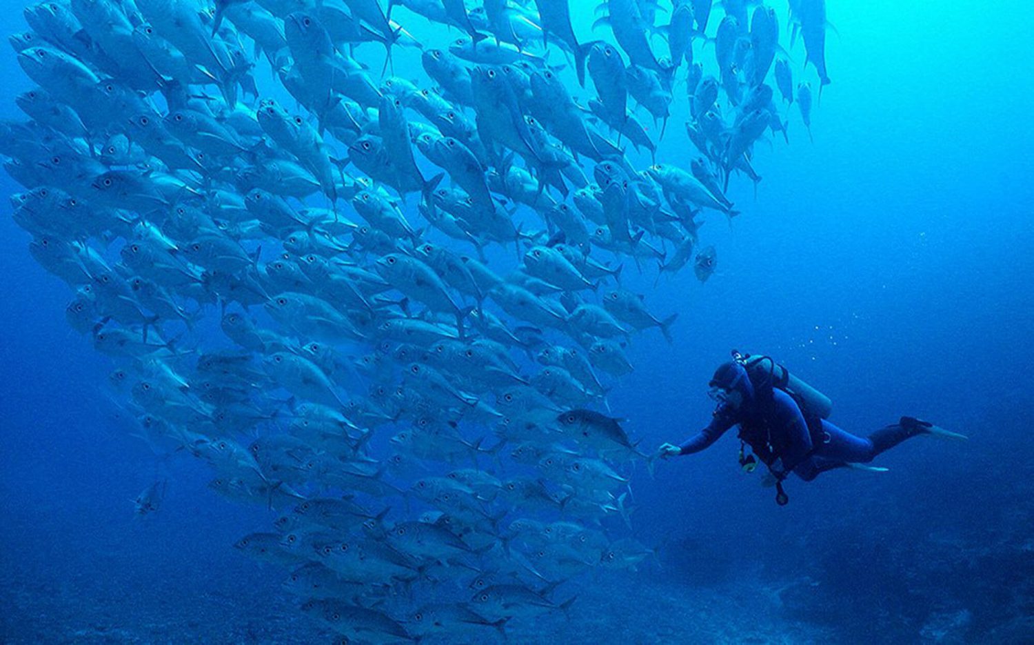 nanuku fiji adventure mama disrupt