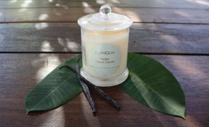 Moo Goo Mama Disrupt