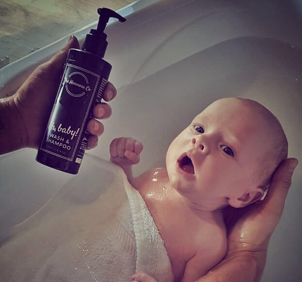 the hermosa co mama disrupt