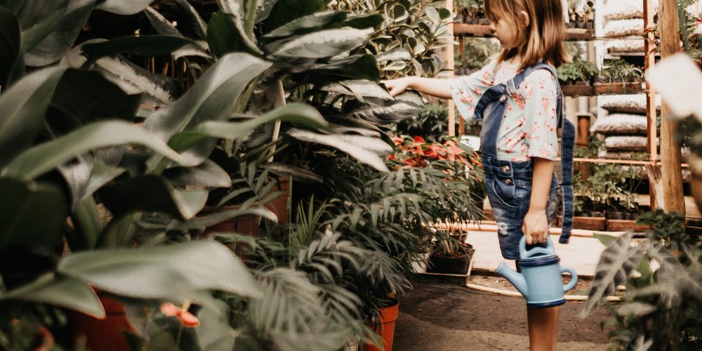 zero waste mama disrupt