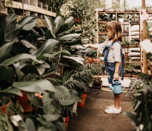 zero waste mama disrupt