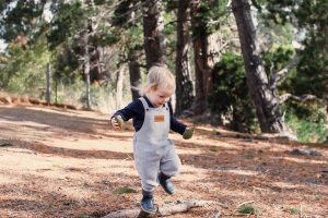 wild island mama disrupt