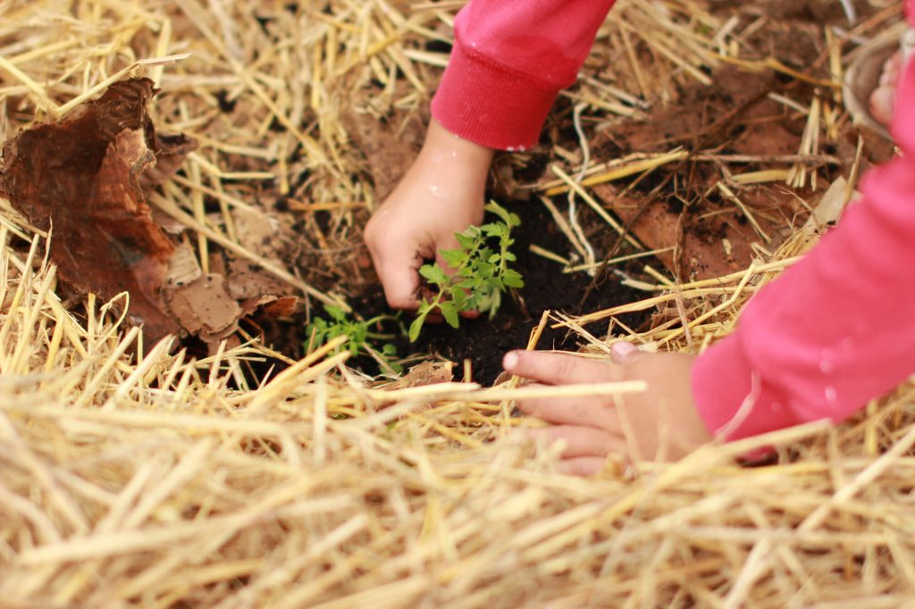 zero waste mama disrupt