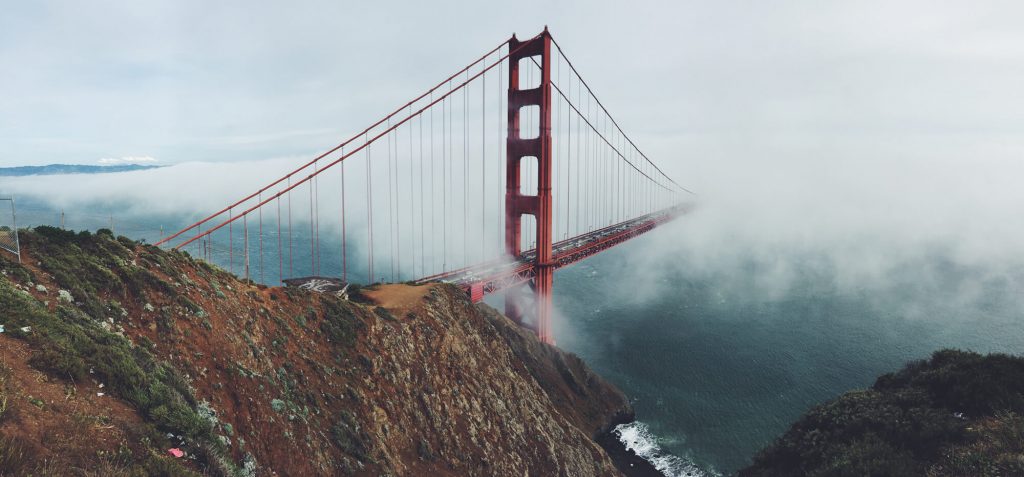 california mama disrupt