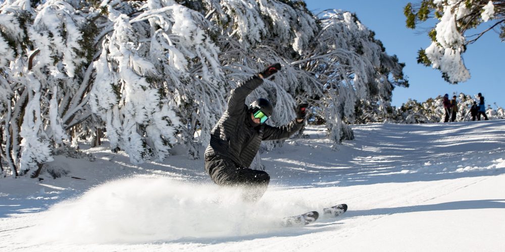 mount baw baw mama disrupt