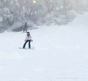 mount baw baw mama disrupt