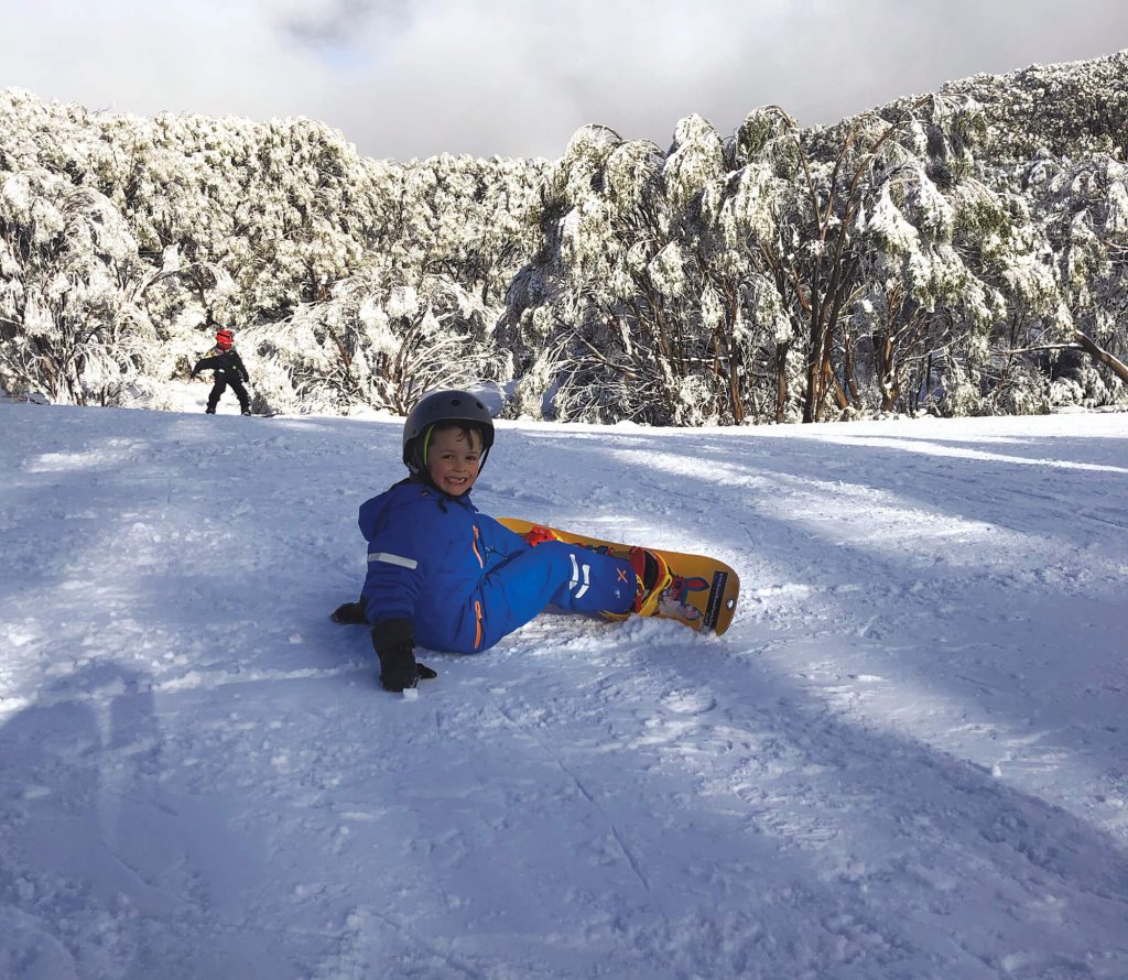 mount baw baw mama disrupt 