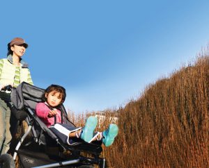 mountain buggy mama disrupt