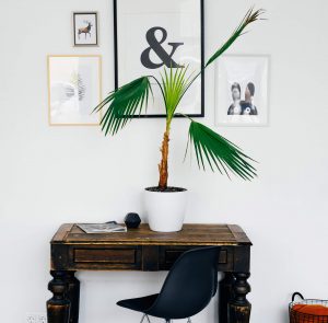 zen mama mama disrupt