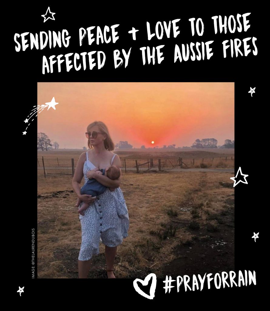 bushfire mama disrupt