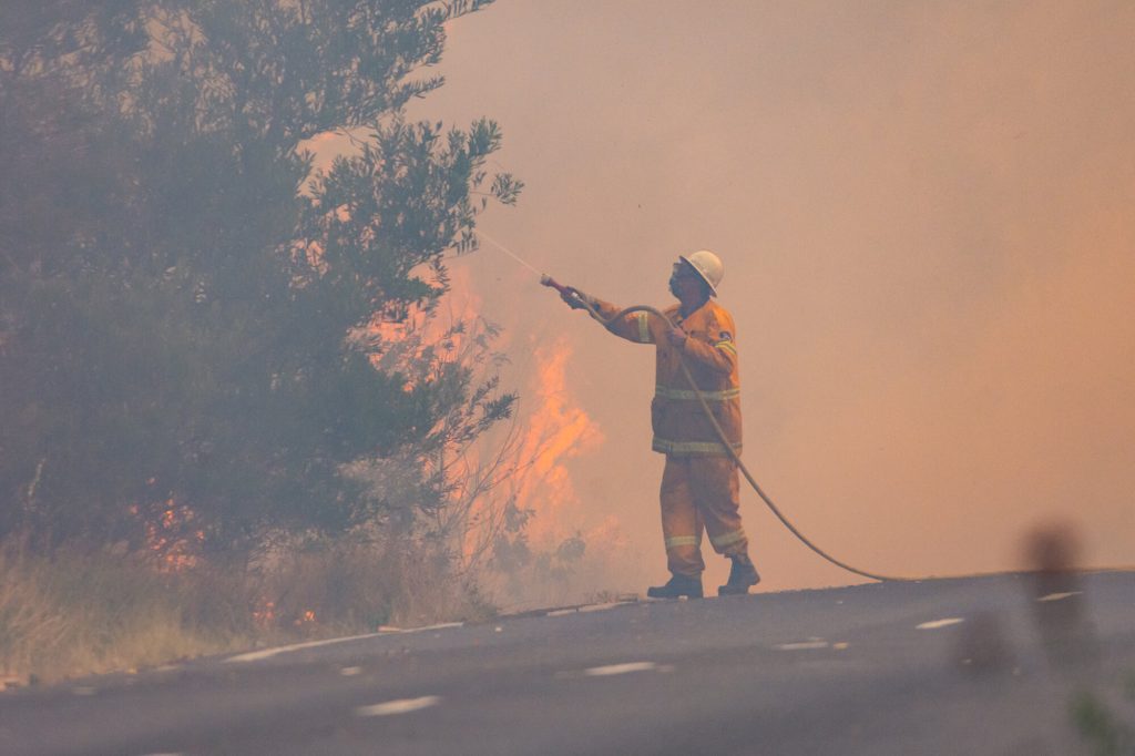 bushfire mama disrupt