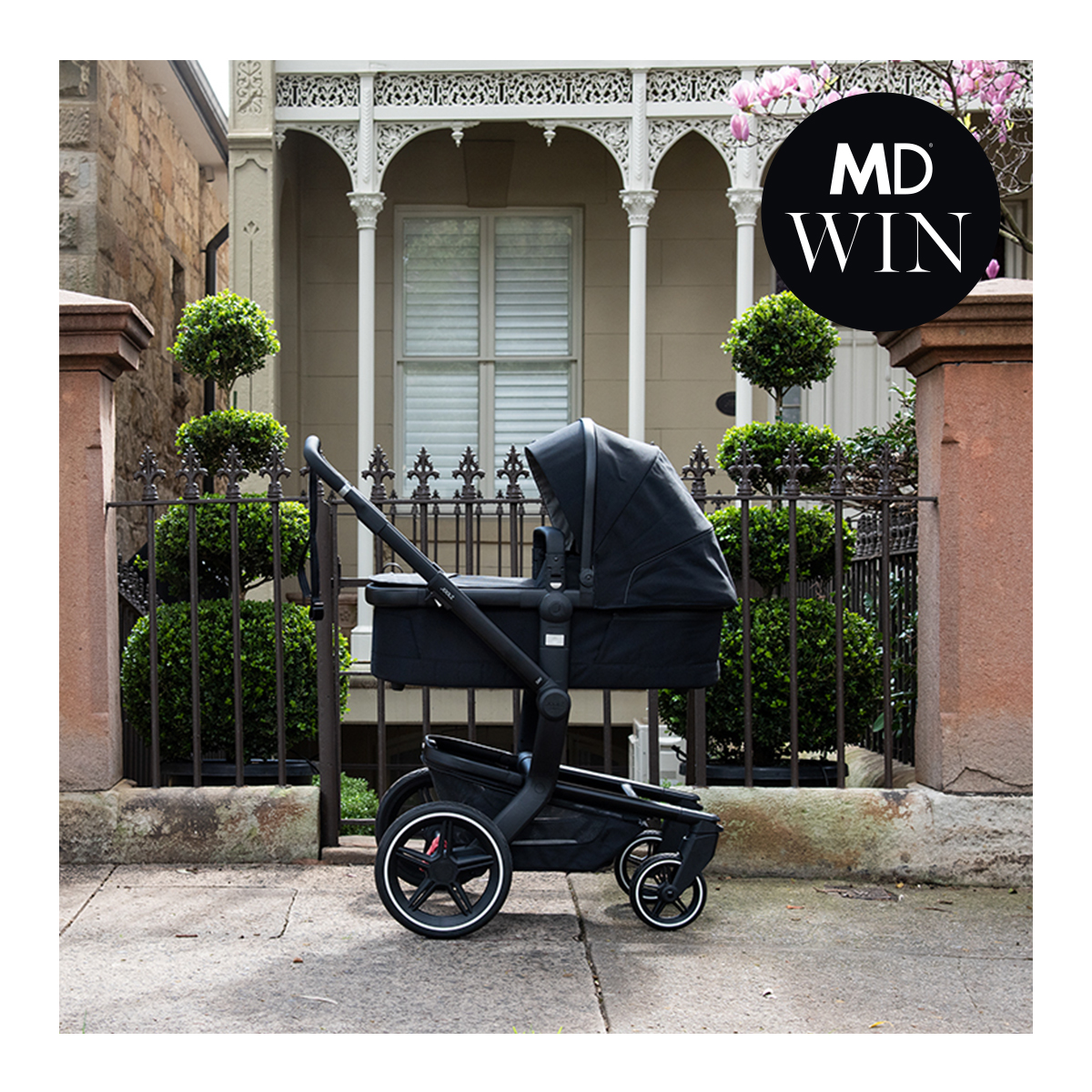 TABC Mama Disrupt® Win