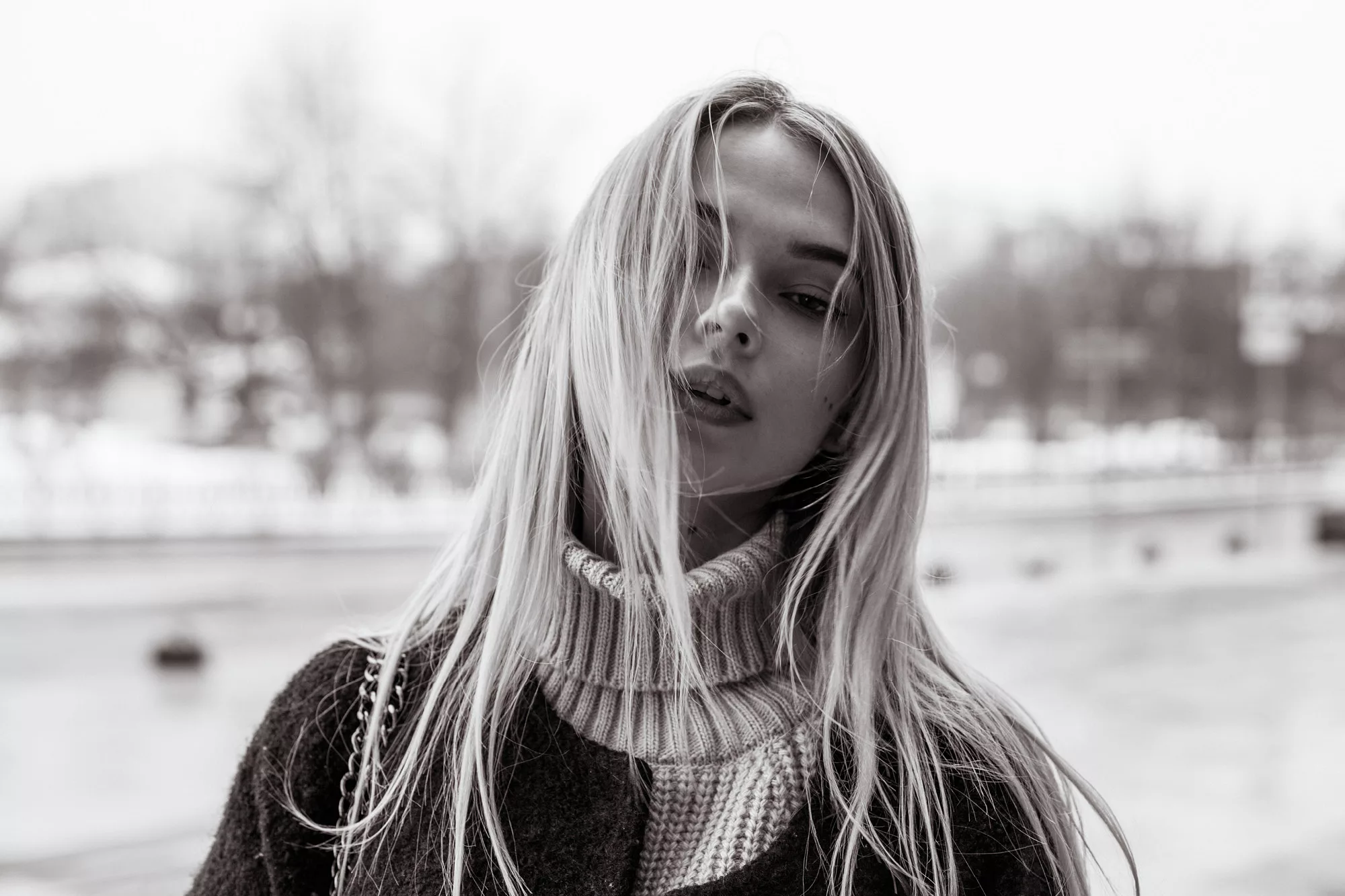winter, mama disrupt