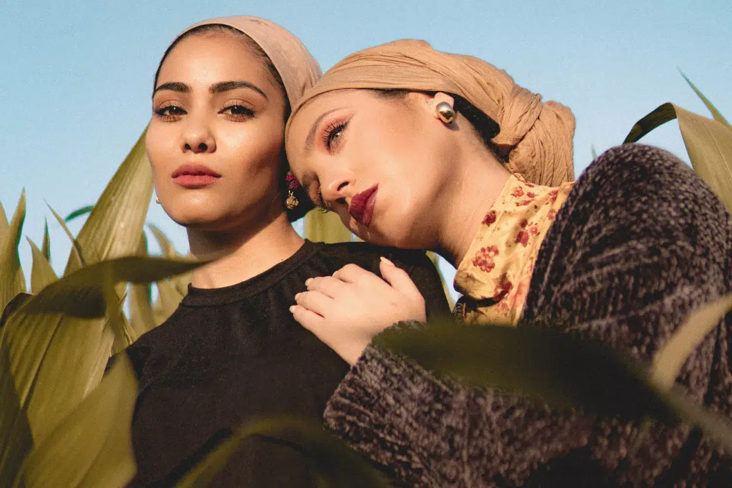 hormones and fertility, mother wound, mama disrupt