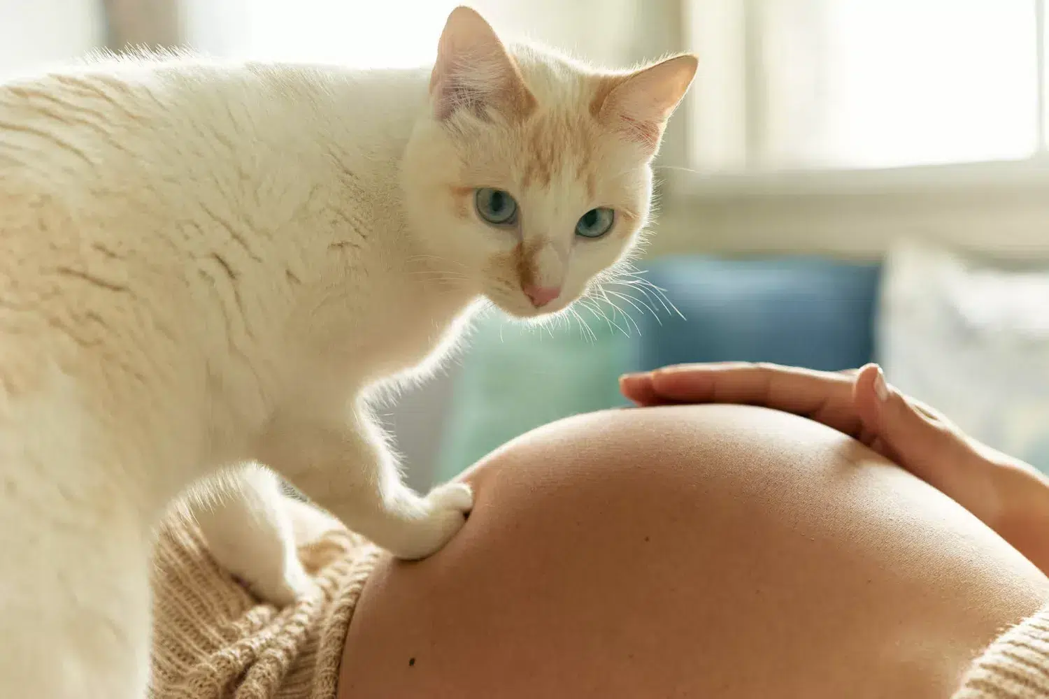 birthing with confidence, mama disrupt