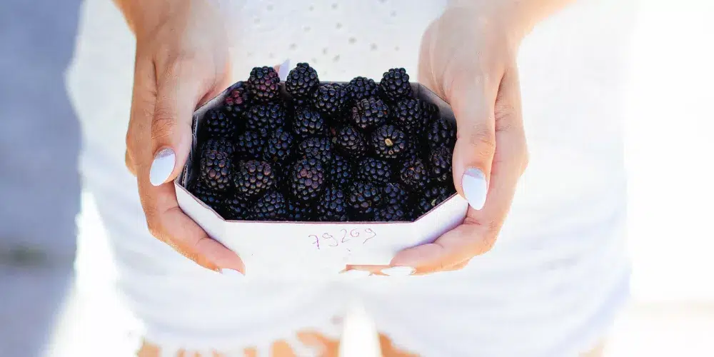 smoothie recipes, mama disrupt