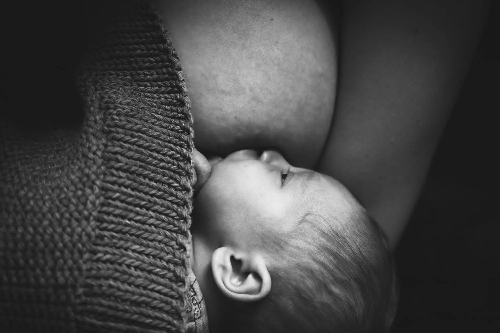 lactogenic foods, mama disrupt