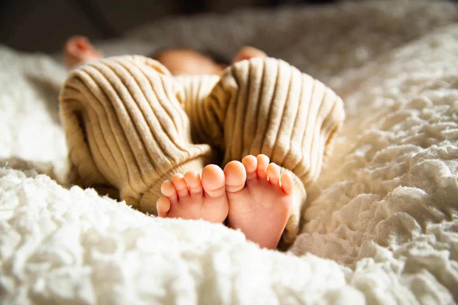 newborn photoshoot, mama disrupt