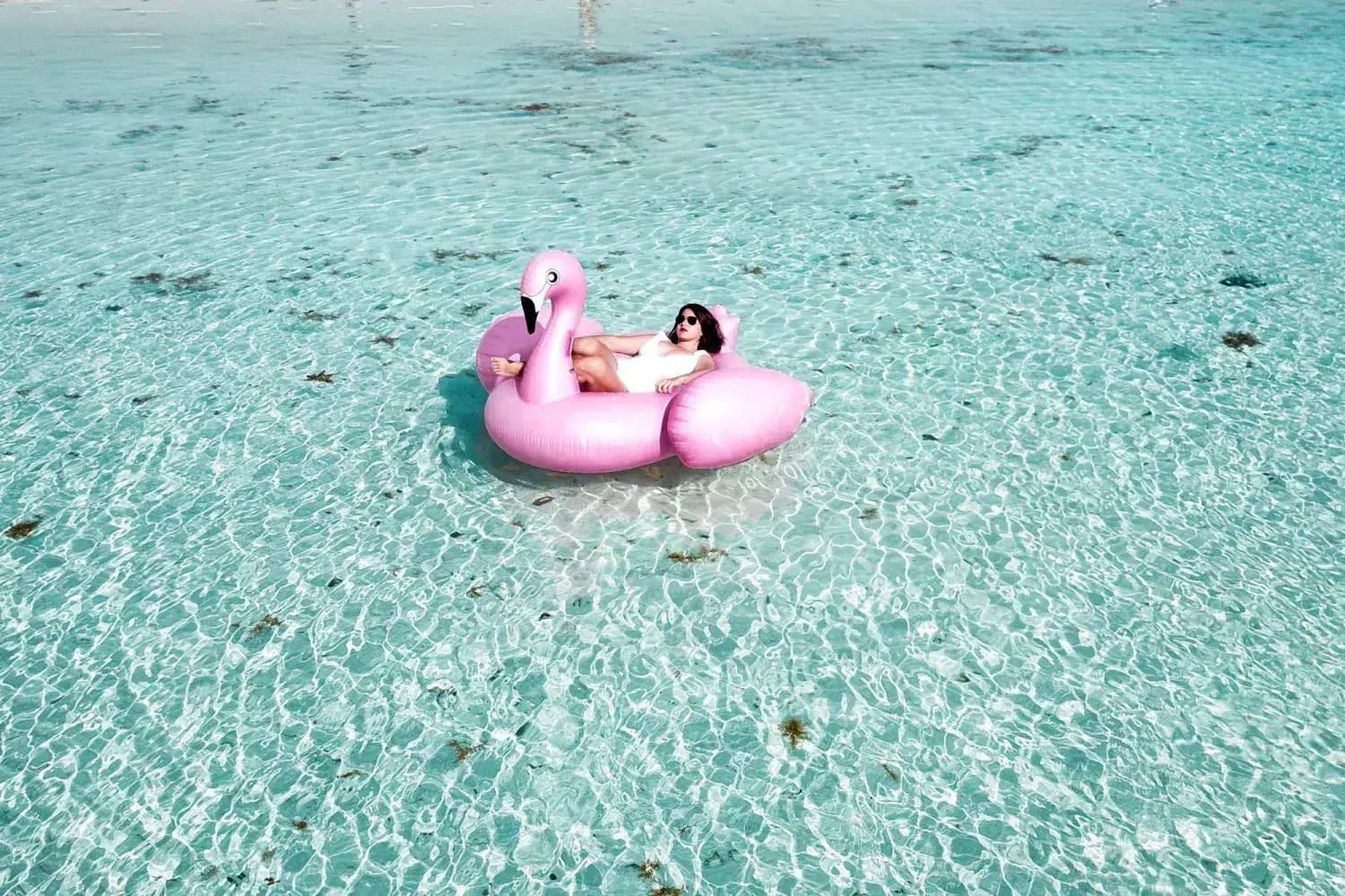 financial freedom, mama disrupt