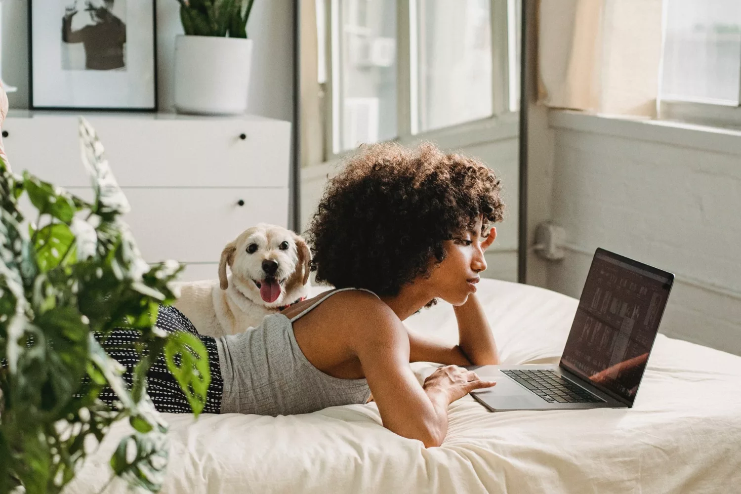 working from home, mama disrupt