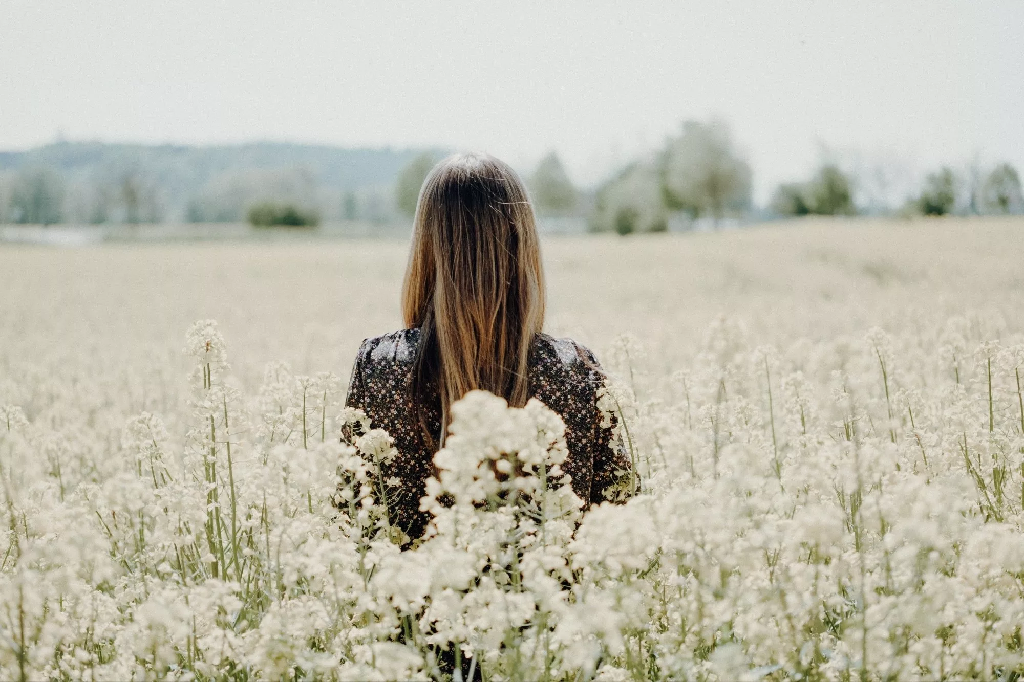 menopause, support a new mum, mama disrupt