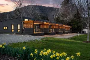 sleep tourism, mama disrupt