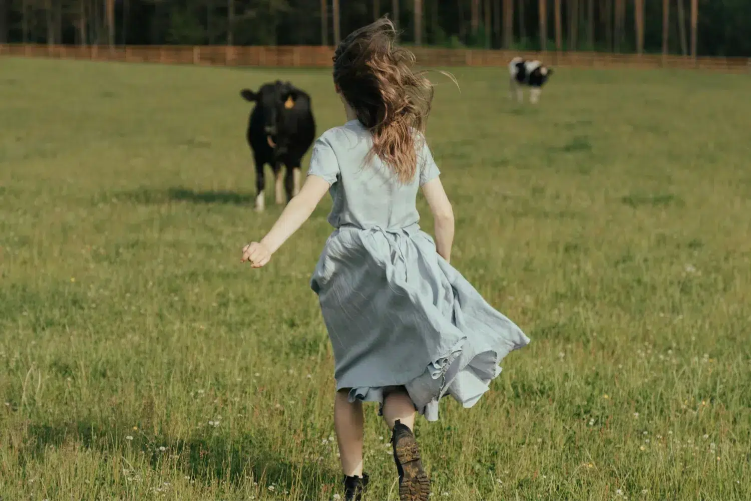 cow colostrum, mama disrupt