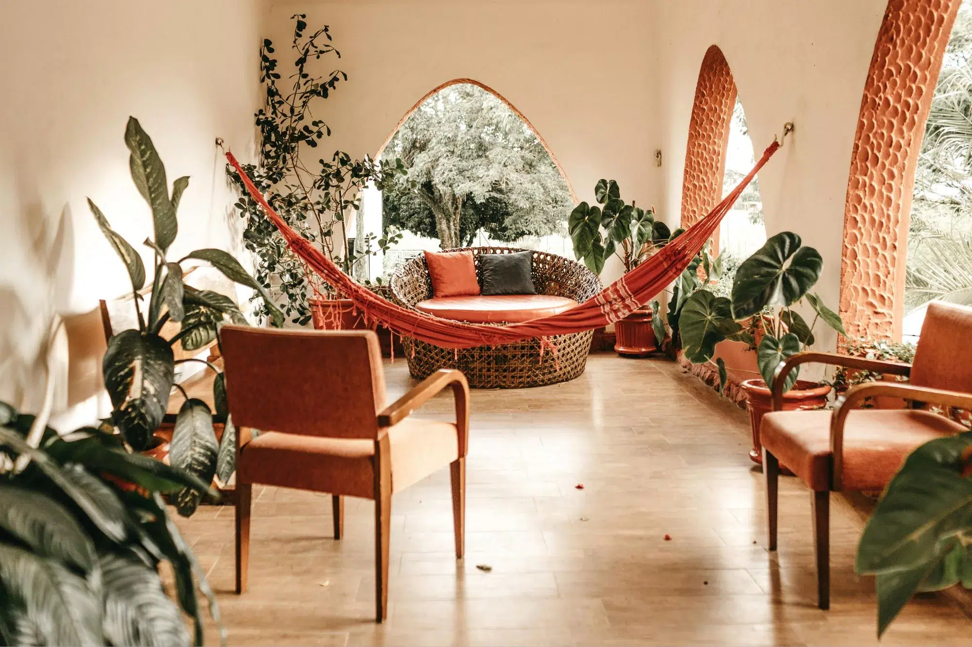 indoor plants, mama disrupt